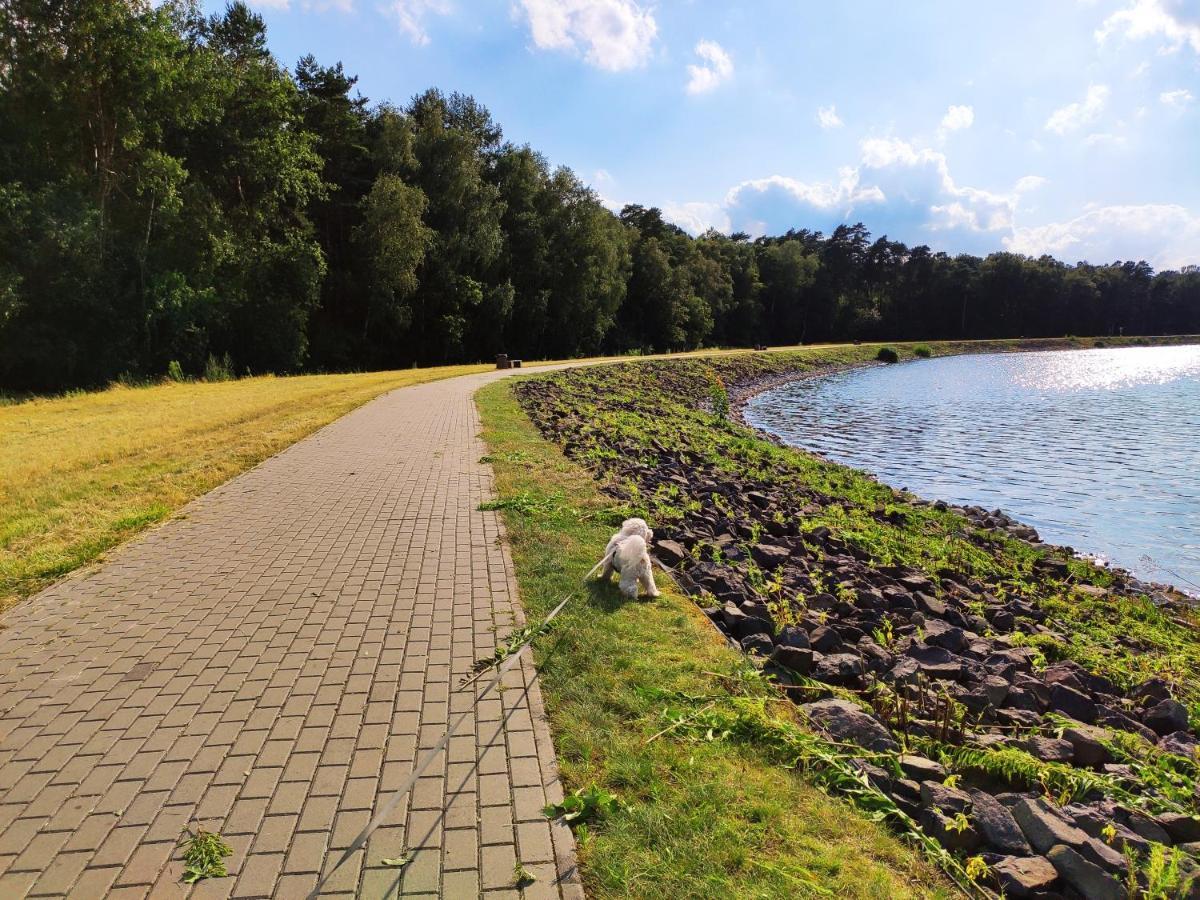 Miodowa Sadyba Domki Caloroczne Kluczbork Ligota Zamecka Exterior foto