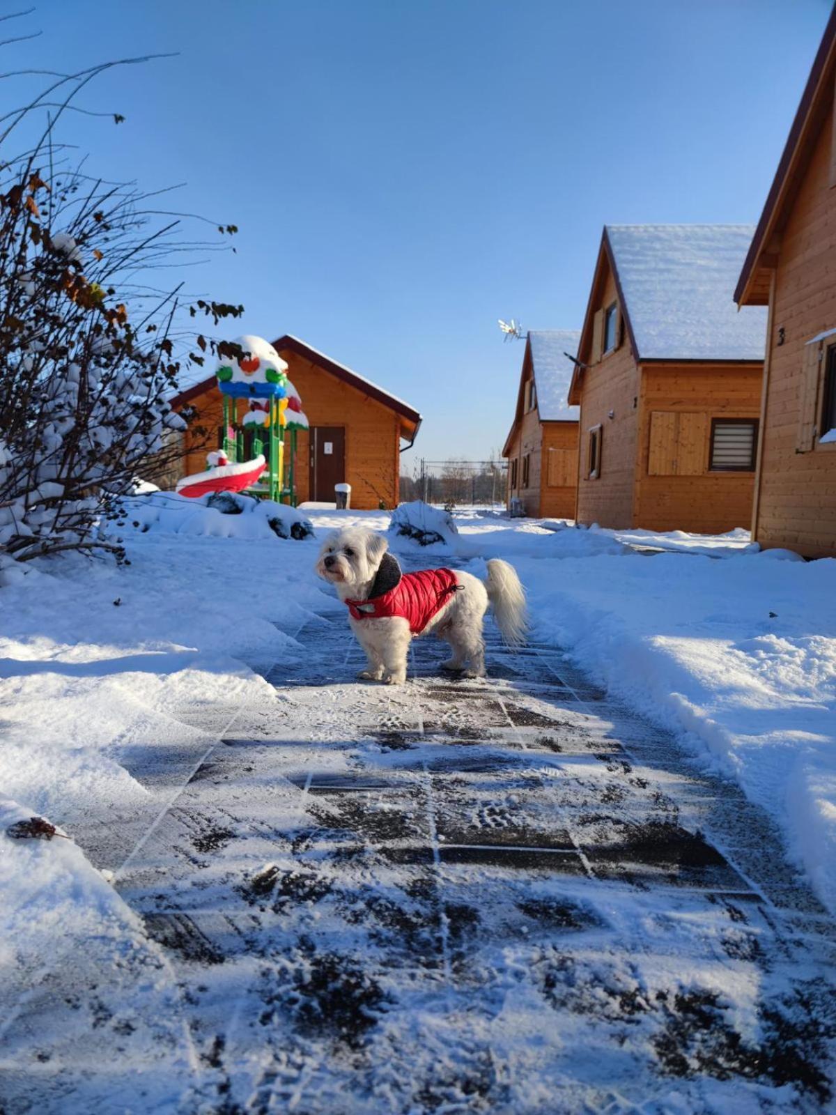 Miodowa Sadyba Domki Caloroczne Kluczbork Ligota Zamecka Exterior foto